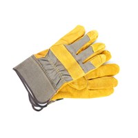 Gloves, Hand, and Arm Protection