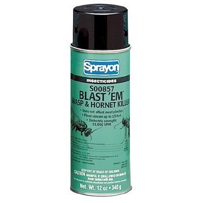 Blast-em Wasp & Hornet Spray, 12 oz Can