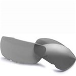 CDI SunglassSmoke Gray Lens,